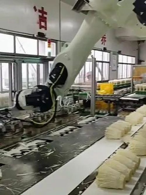 金針菇擺放機(jī)器人 華象工業(yè) 工廠實(shí)拍視頻 自動化生產(chǎn)線 工業(yè)機(jī)器人 智能制造 自動化設(shè)計(jì) 科技改變生活