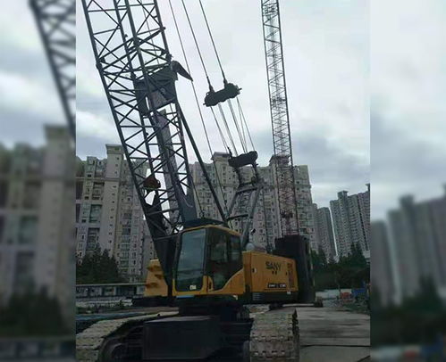 合肥履帶吊出租服務 安徽利茂現貨租賃與專業安裝